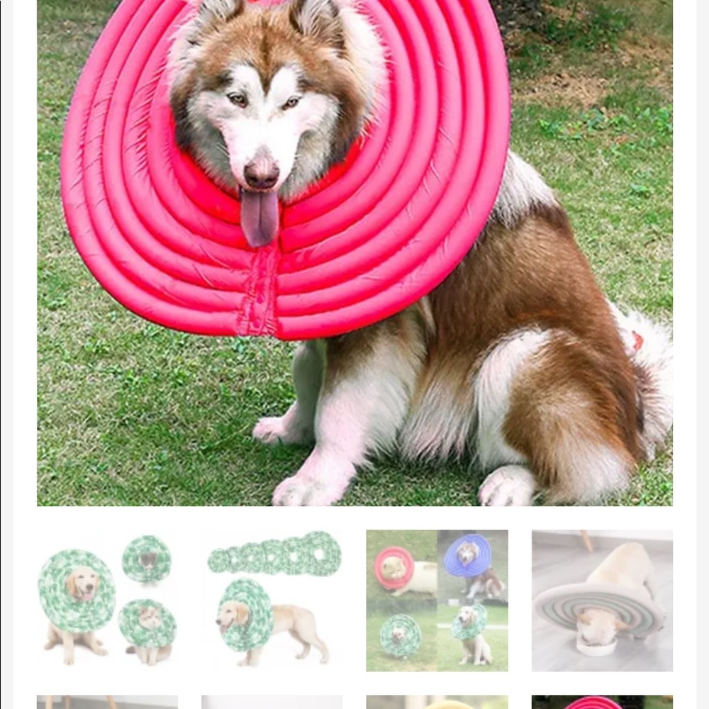 Dog recovery collar